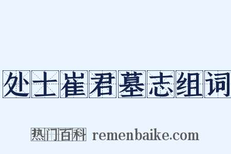 处士崔君墓志组词是什么意思的图片